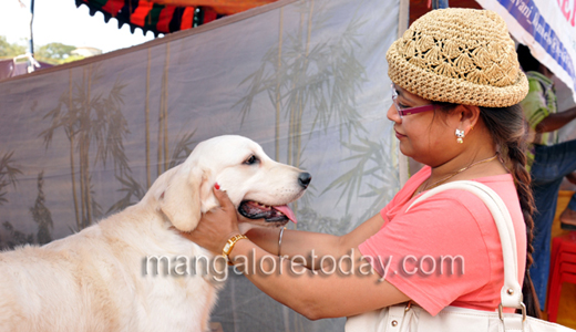 Dog show in Mangalore